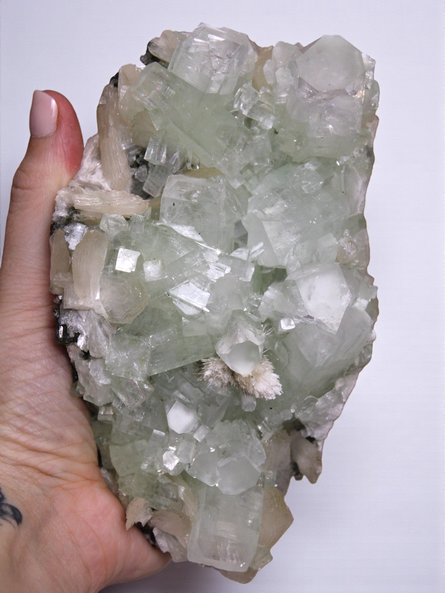 Sea Foam Green Apophyllite with Peach Silbite and Mordenite Specimen