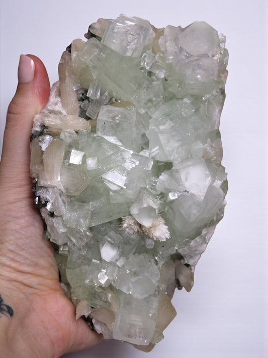 Sea Foam Green Apophyllite with Peach Silbite and Mordenite Specimen