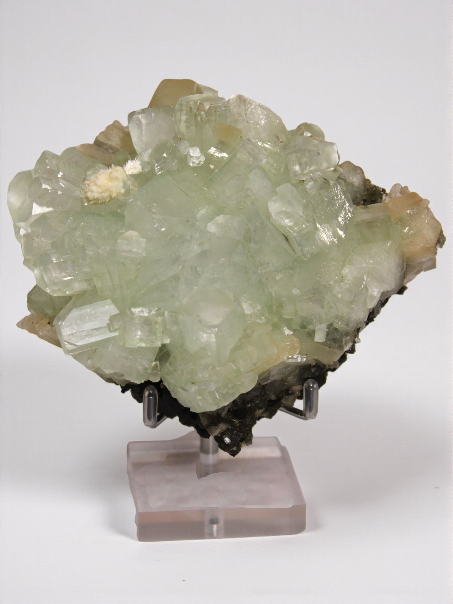 Sea Foam Green Apophyllite with Peach Silbite and Mordenite Specimen
