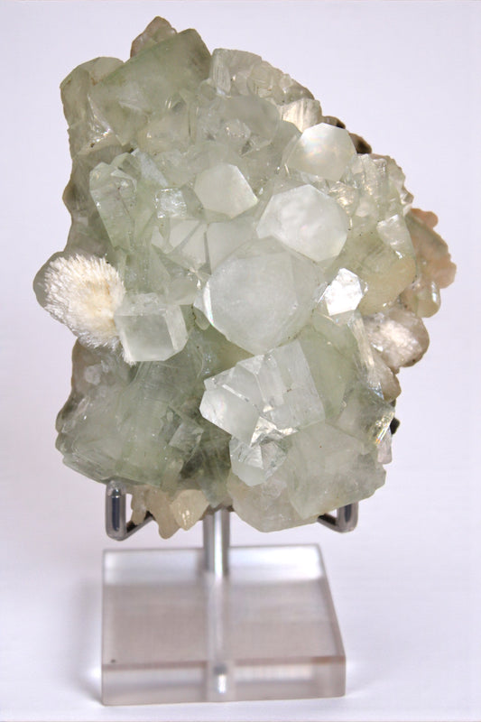 Sea Foam Green Apophyllite with Peach Silbite and Mordenite Specimen