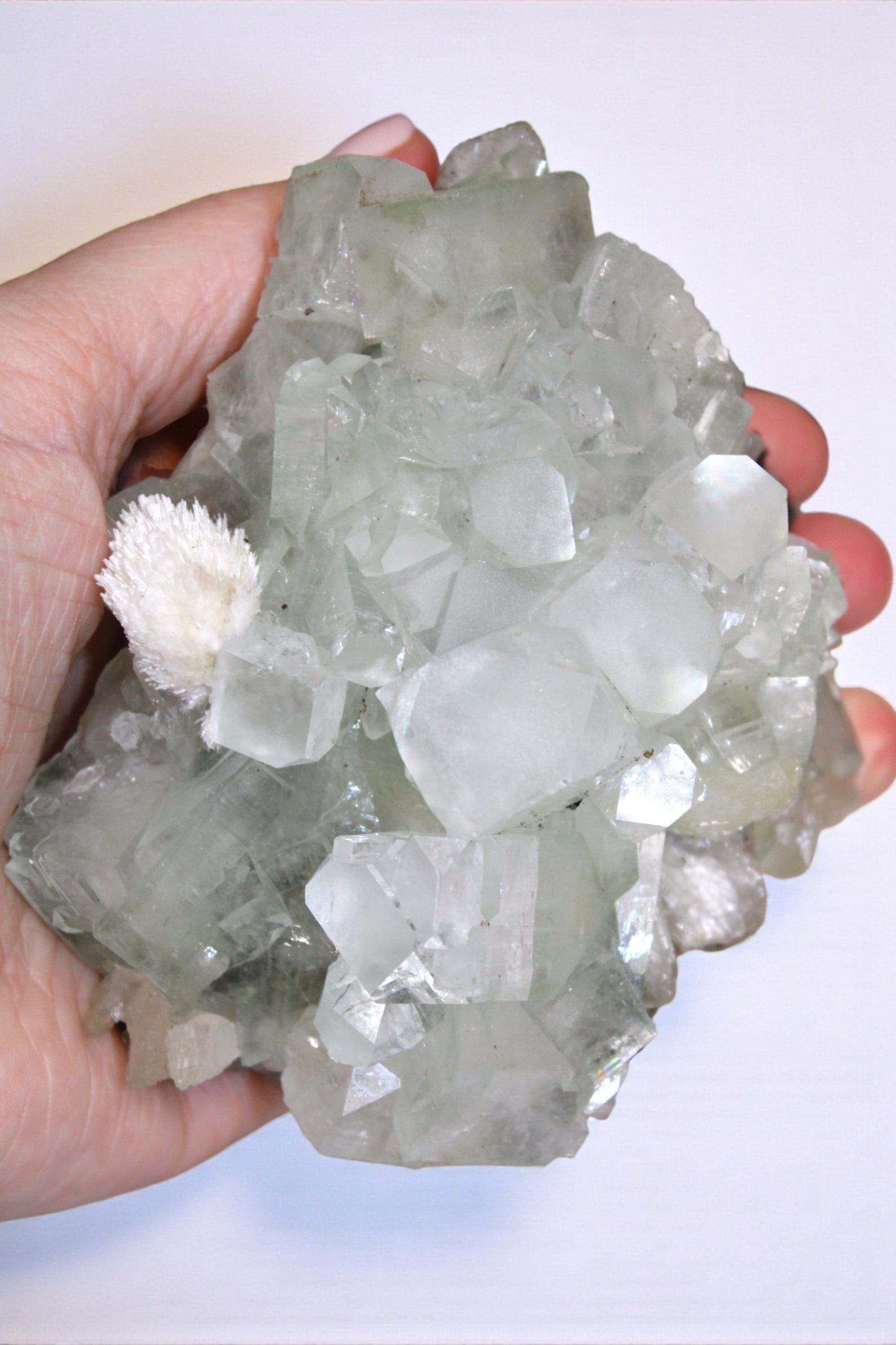 Sea Foam Green Apophyllite with Peach Silbite and Mordenite Specimen
