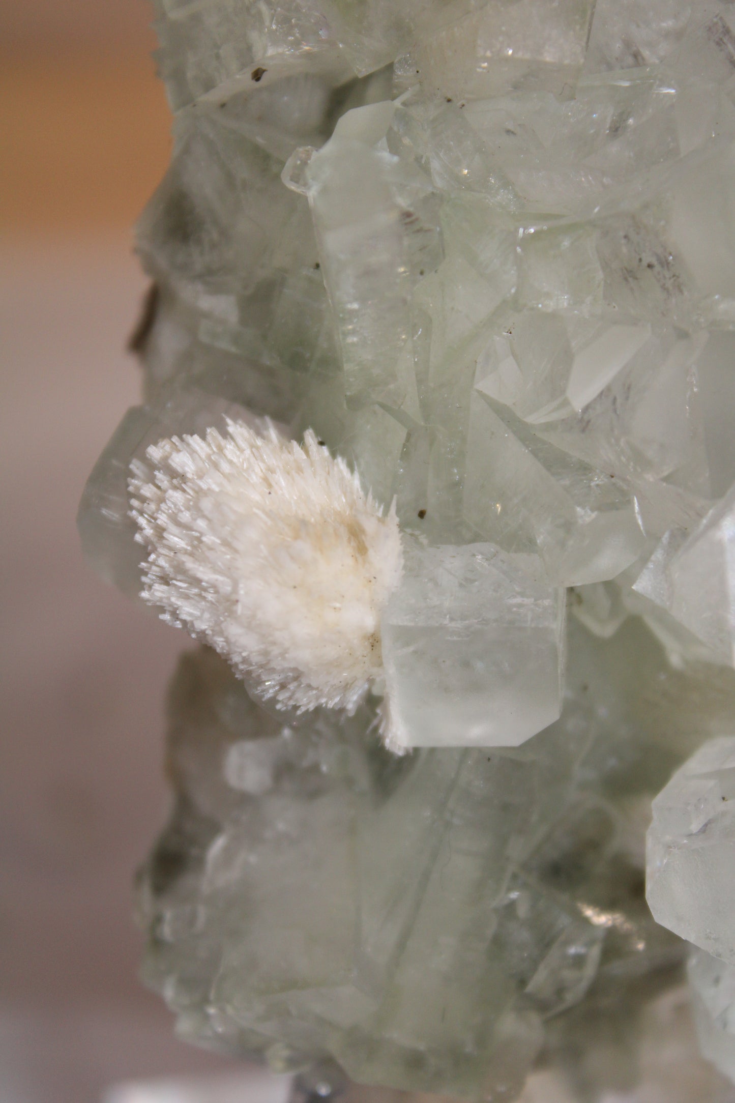 Sea Foam Green Apophyllite with Peach Silbite and Mordenite Specimen
