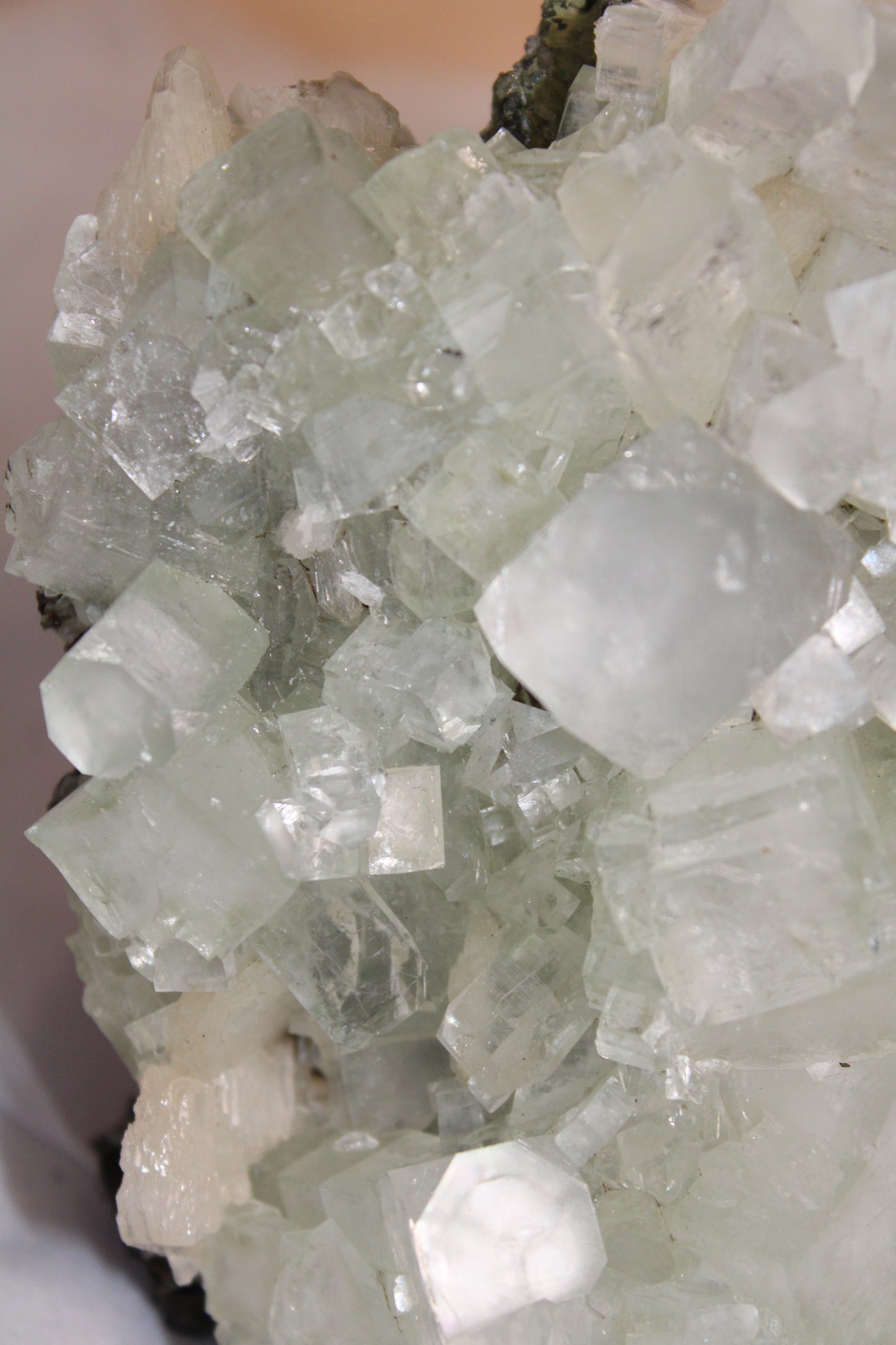 Sea Foam Green Apophyllite with Peach Silbite Standing Specimen