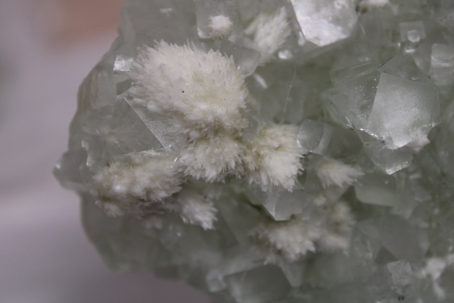 Sea Foam Green Apophyllite with Mordenite Specimen