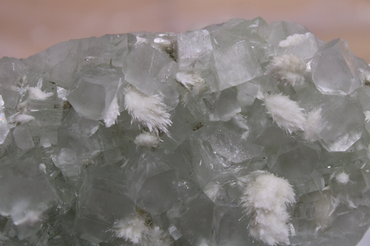 Sea Foam Green Apophyllite with Mordenite Specimen