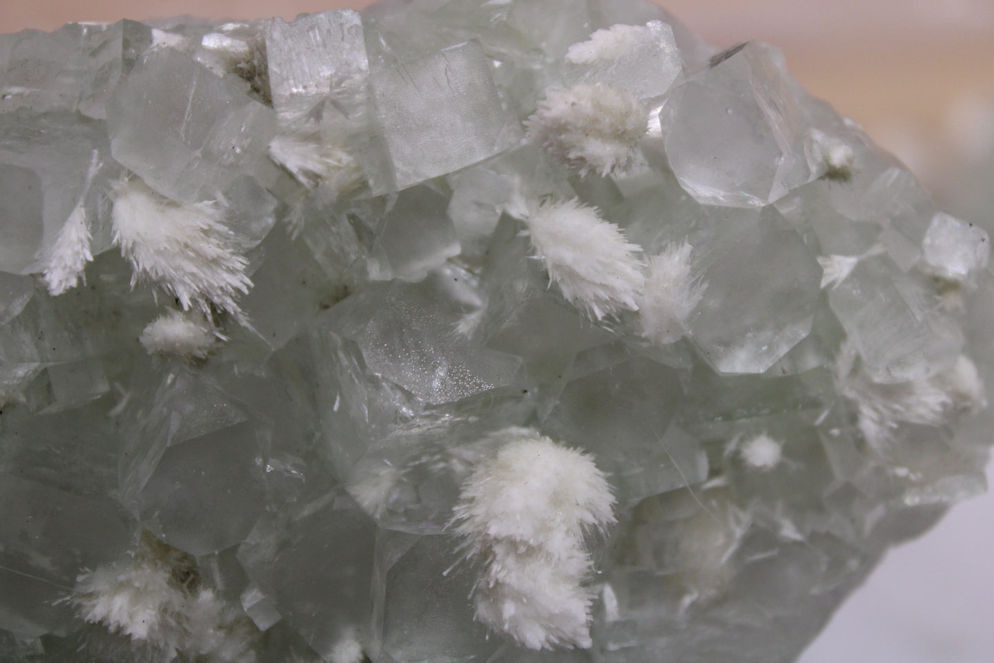 Sea Foam Green Apophyllite with Mordenite Specimen