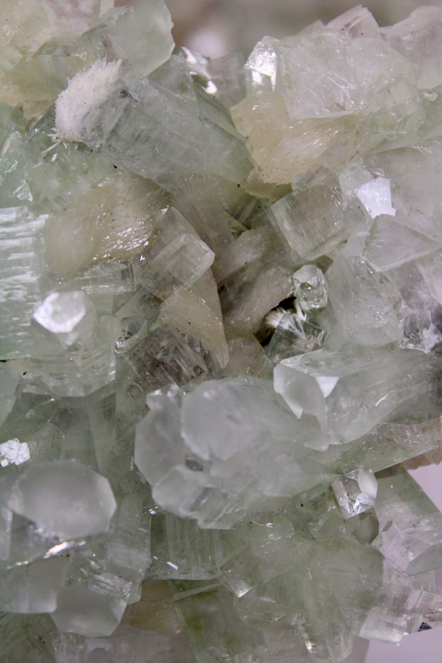 Sea Foam Green Apophyllite with Peach Silbite and Mordenite Specimen