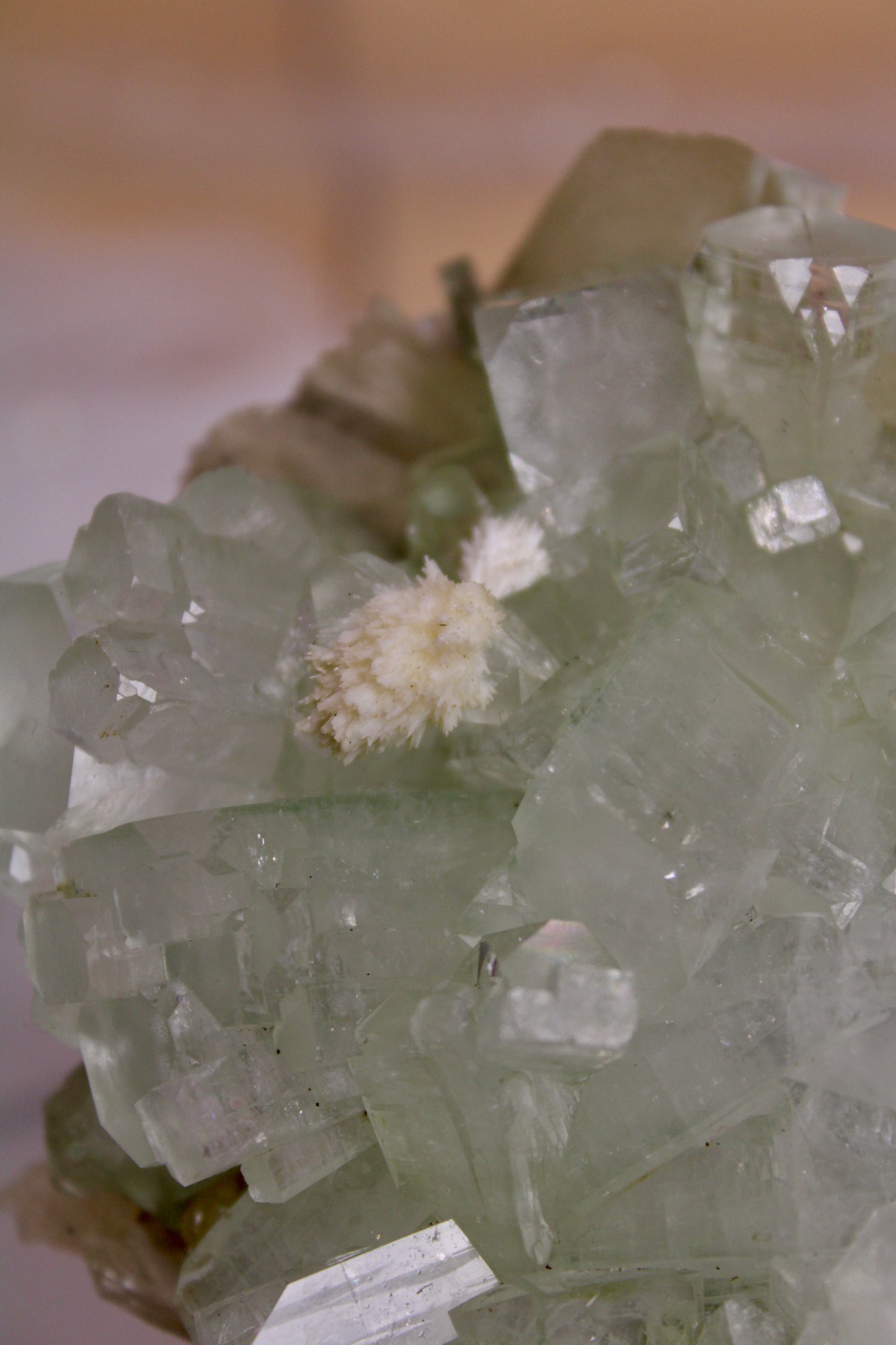 Sea Foam Green Apophyllite with Peach Silbite and Mordenite Specimen
