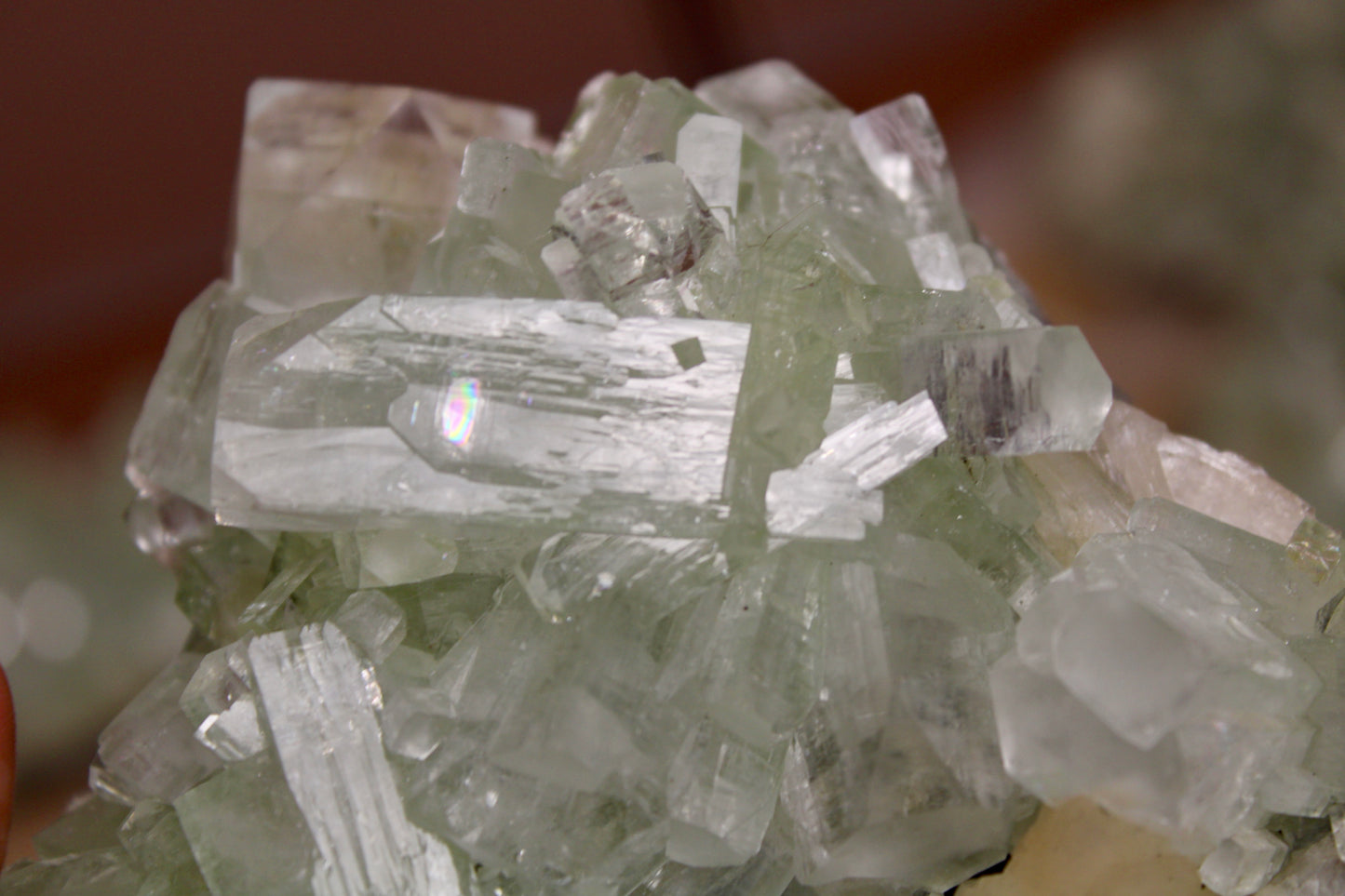 Sea Foam Green Apophyllite with Peach Silbite Specimen