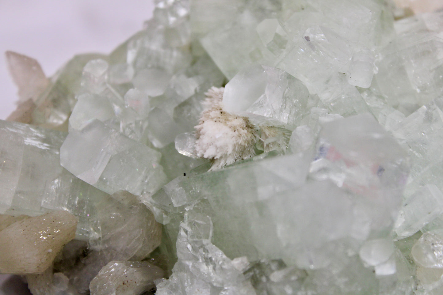 Sea Foam Green Apophyllite with Peach Silbite and Mordenite Specimen
