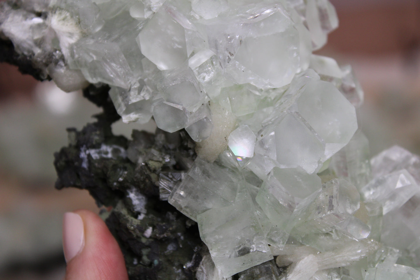 Sea Foam Green Apophyllite with Peach Silbite and Mordenite Specimen