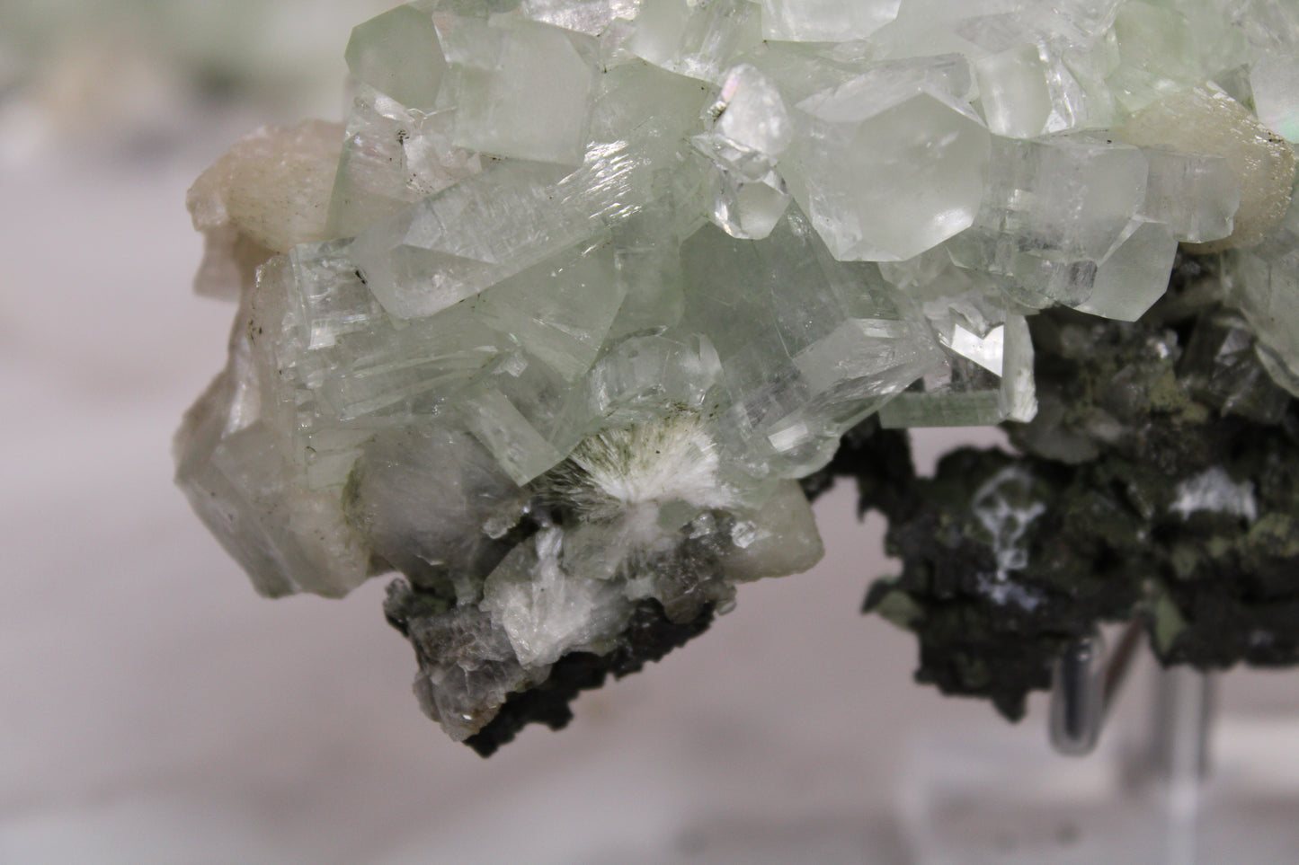 Sea Foam Green Apophyllite with Peach Silbite and Mordenite Specimen